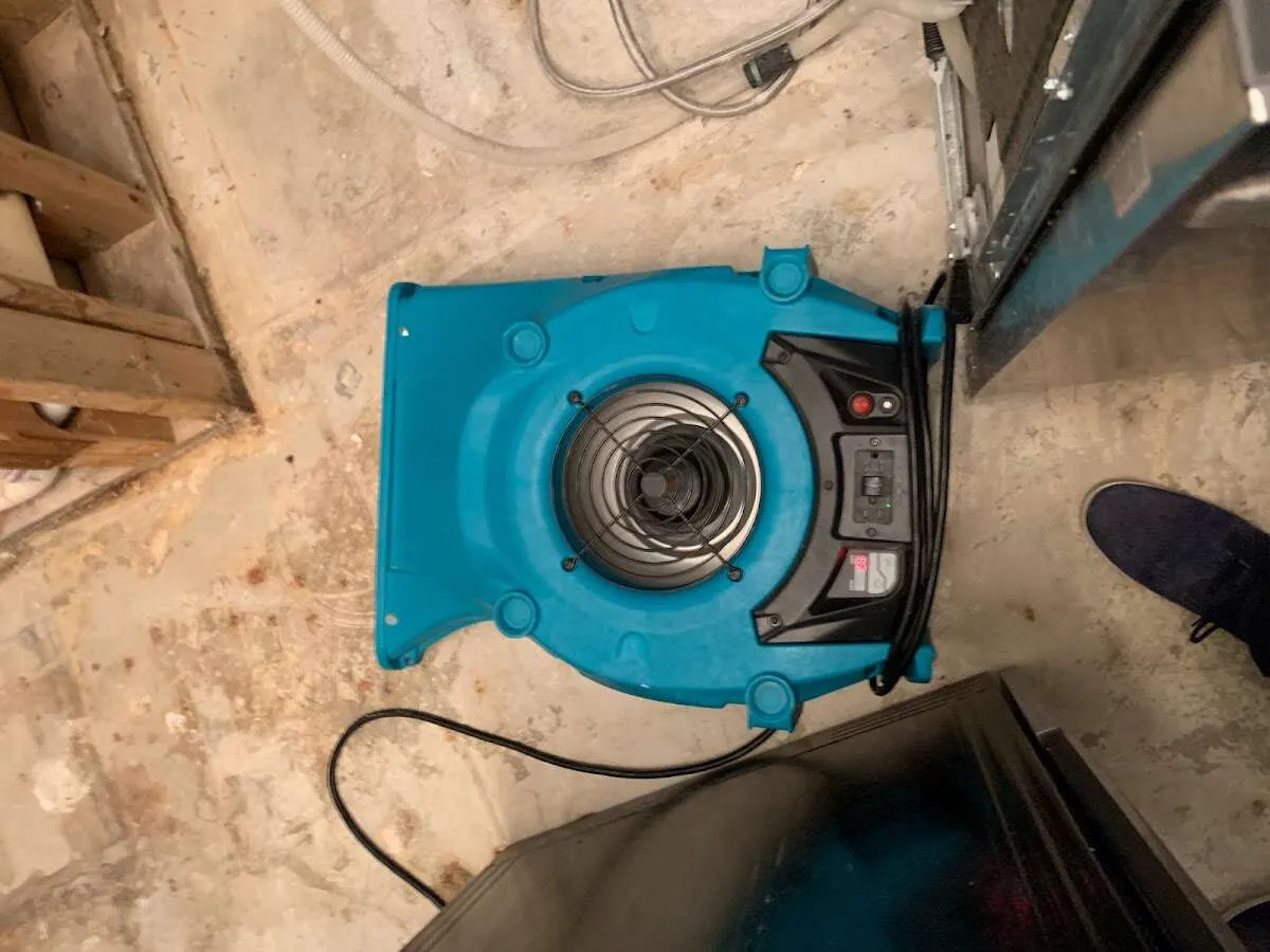 Air mover drying equipment for Mold Remediation & Removal in Long Branch