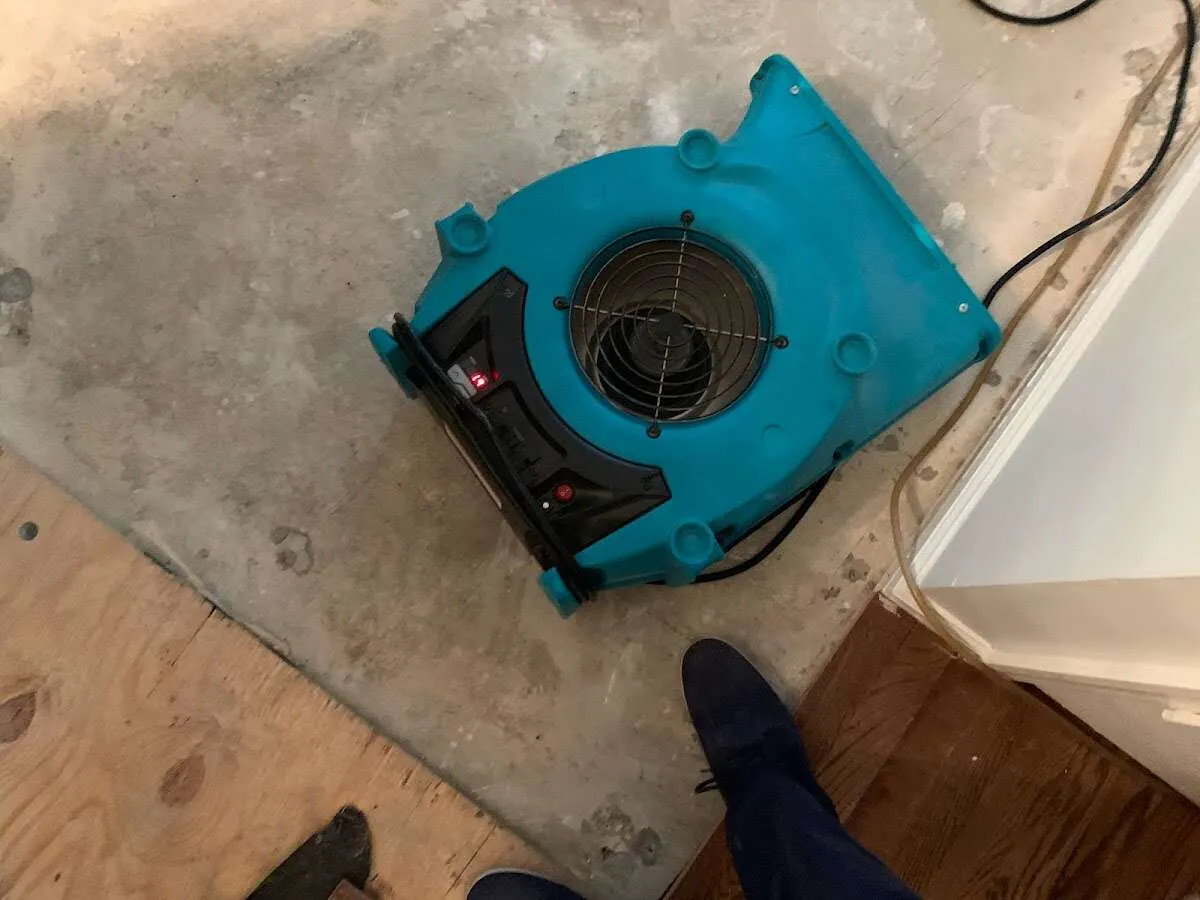 Air mover drying subfloor during Leak Detection & Repair in Long Branch